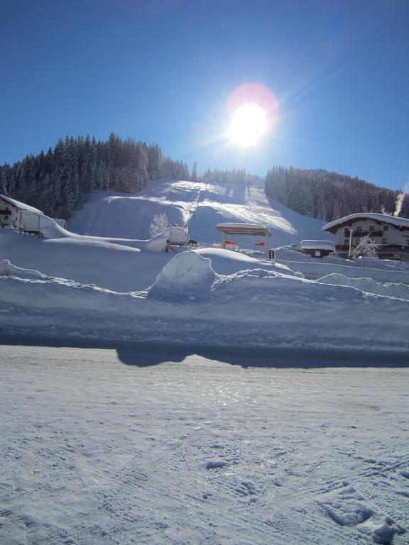 Ferienhaus Hoell Russbach am Pass Gschütt Dış mekan fotoğraf